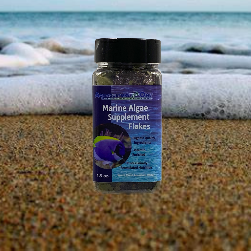 Fresh Look at Aquaculture One Marine Algae Treat Flake