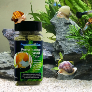 Aquaculture-One Performance Snail Tabs