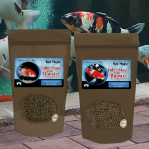 Aquaculture-One Color Magic Color Booster